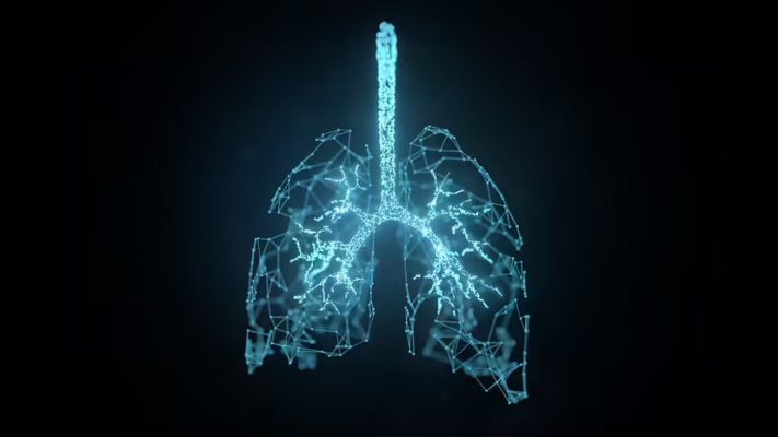 Cấu tạo phổi