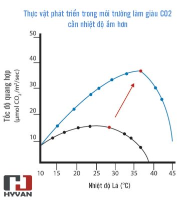 Mối quan hệ giữa nhiệt độ lá và tốc độ quang hợp trong điều kiện thường và điều kiện bổ sung CO2