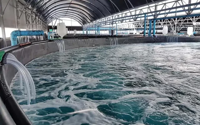Sử dụng oxy lỏng trong nuôi trồng thủy sản