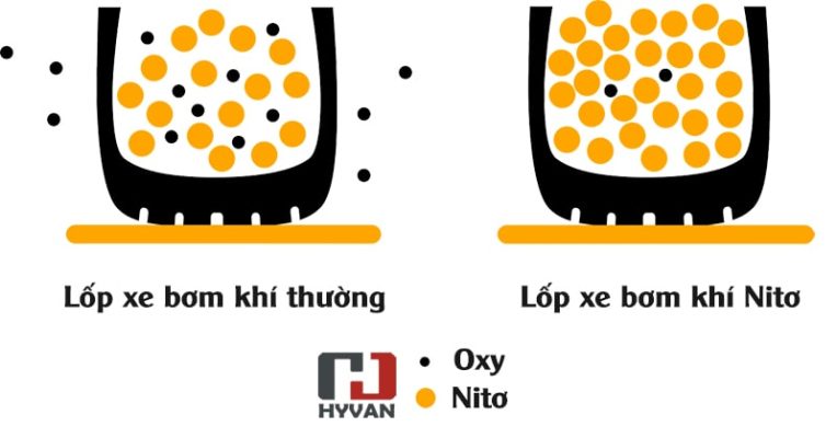 Phân tử khí Nitơ lớn hơn và chuyển động chậm hơn phân tử khí Oxy